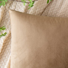 EMEMA Samt Kissenbezug Set 40x40 cm Khaki 2er Pack