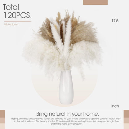 Pampasgras Deko Set Trockenblumen Natur Weiß Bouquet