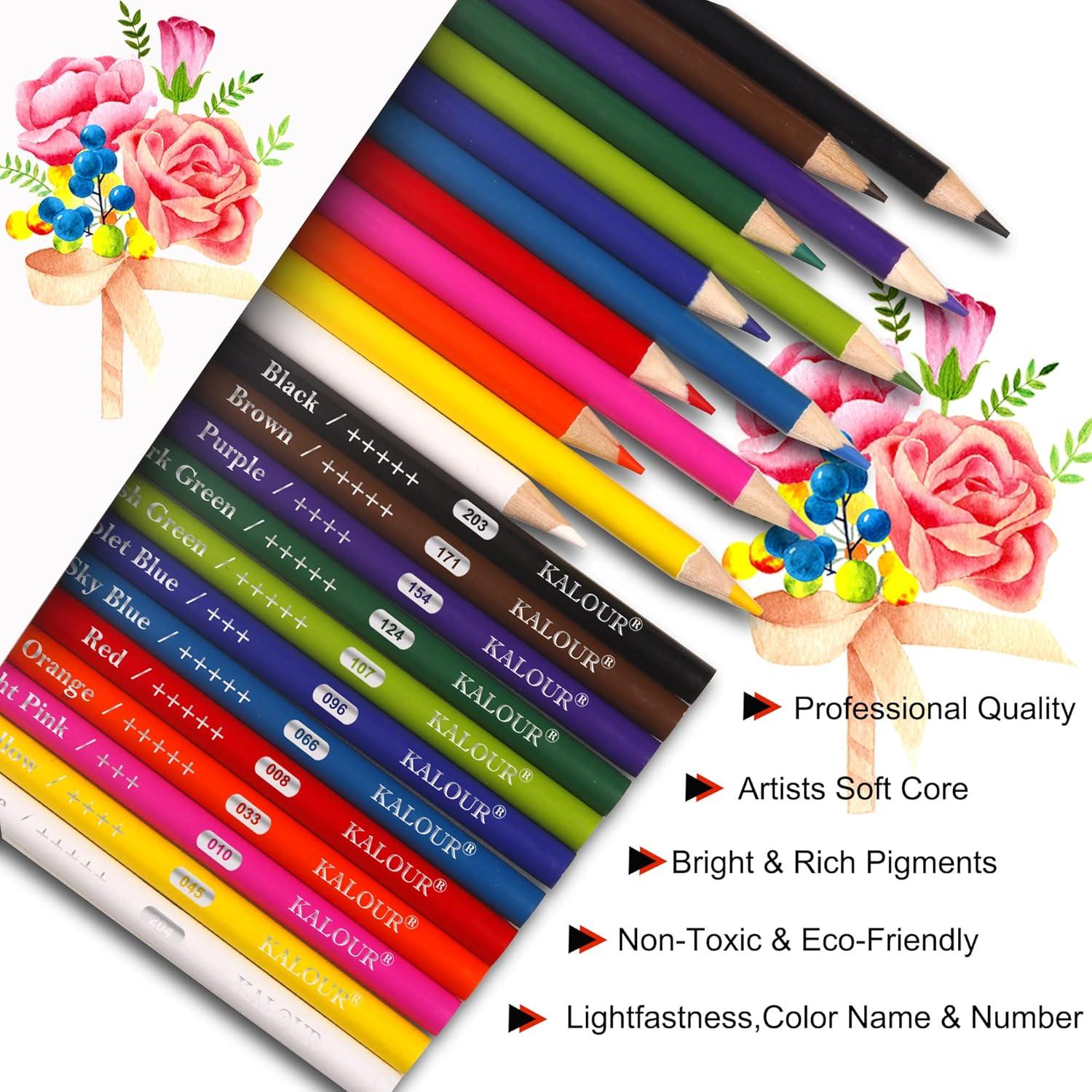 KALOUR Premium Buntstifte, 12 lebendige Farben, 240