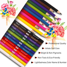 KALOUR Premium Buntstifte, 12 lebendige Farben, 240