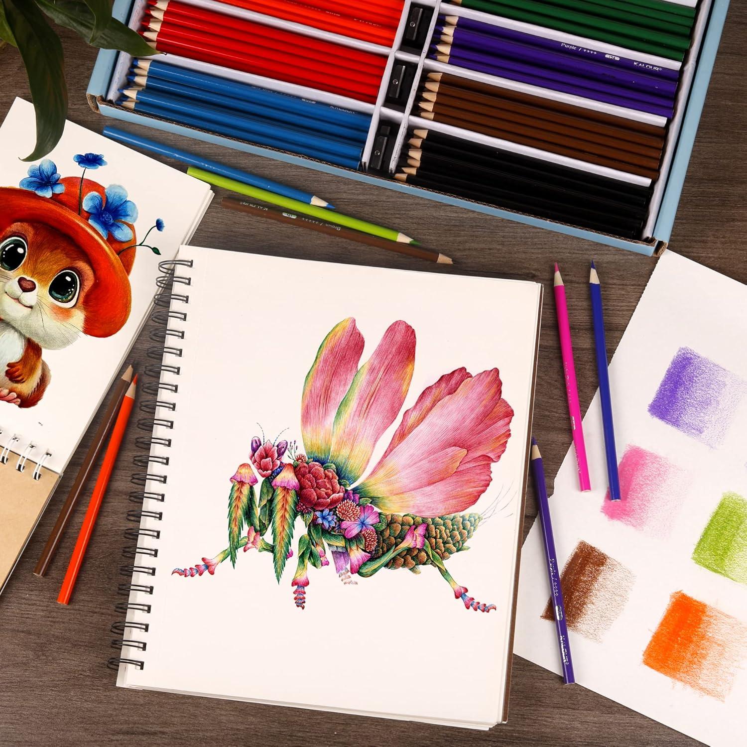 Premium Buntstifte 240 Stifte 12 Farben Künstler Ausmalbücher