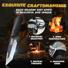 DRAGON RIOT Tanto Messer Outdoor Survival Full Tang Klinge