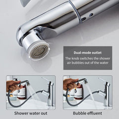 Wasserhahn mit ausziehbarer Brause 2 Strahlarten Silber