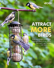 iBorn Metall Fat Ball Bird Feeders Hanging Black Finish