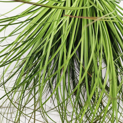 10 Stück Künstliches Weizengras Kunststoff Pflanzen Grüne Sträucher