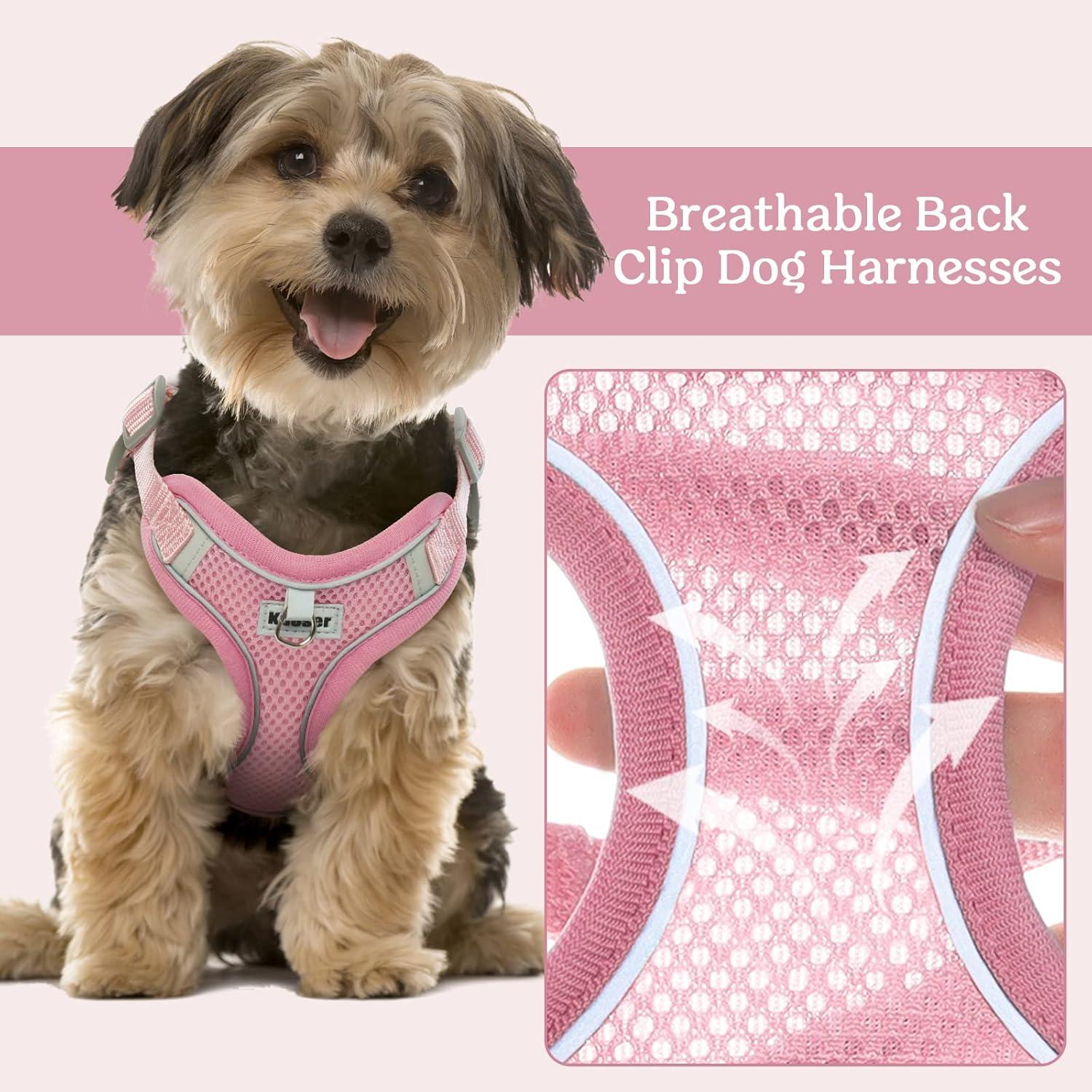 Kuoser Hundegeschirr Kleine Hunde Atmungsaktiv Reflektierend