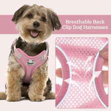 Kuoser Hundegeschirr Kleine Hunde Atmungsaktiv Reflektierend