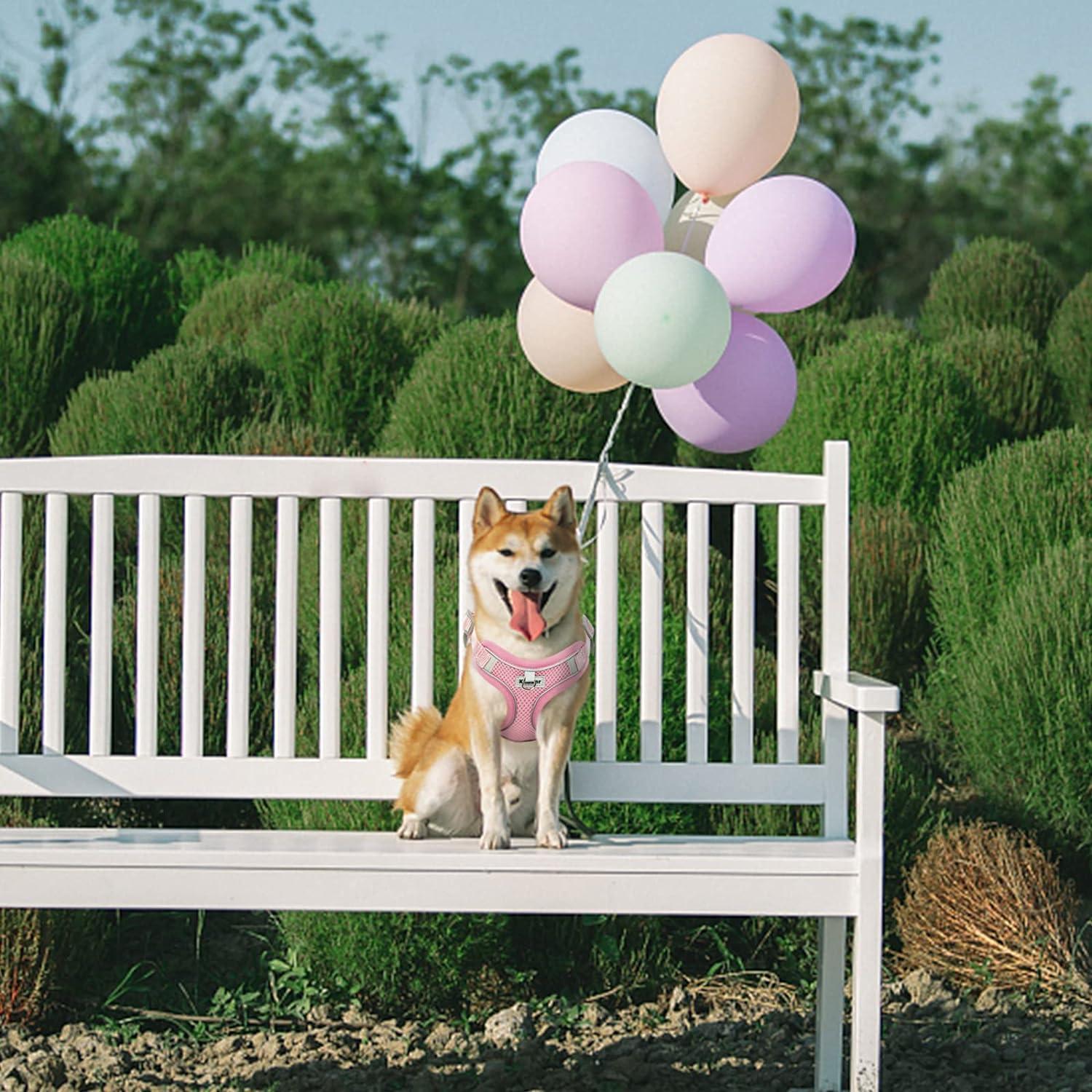 Hundegeschirr Atmungsaktiv Reflektierend Verstellbar Rosa Größe M