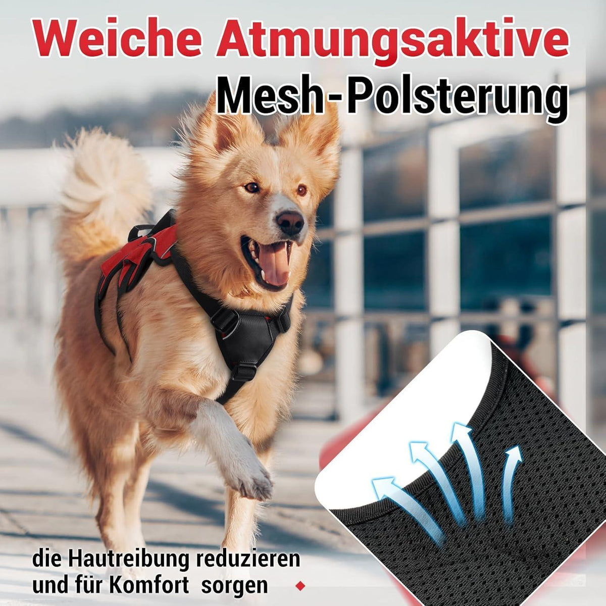 Ausbruchsicheres Hundegeschirr mit Griff, Rot XL