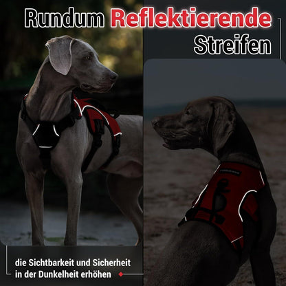 Ausbruchsicheres Hundegeschirr mit Griff, Rot XL