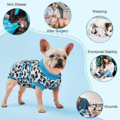Kuoser Hundebody Op Katzenbody Hund Rüde Hündin blau XXL