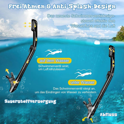 Schnorchelset Erwachsene mit Taucherbrille Trocken