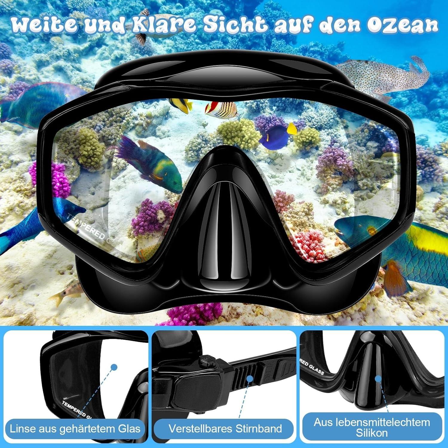Schnorchelset Erwachsene Tauchmaske Trocken Schnorchel Schwarz