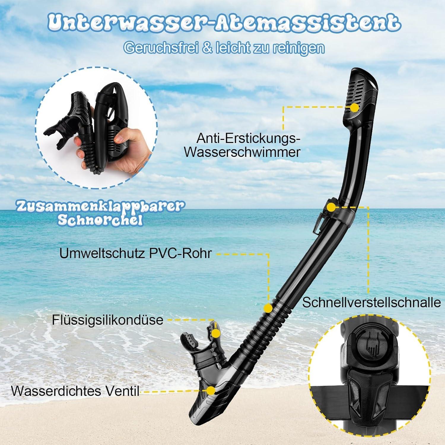 Schnorchelset Erwachsene Tauchmaske und Trocken Schnorchel Set, Anti-Fog Glasmaske