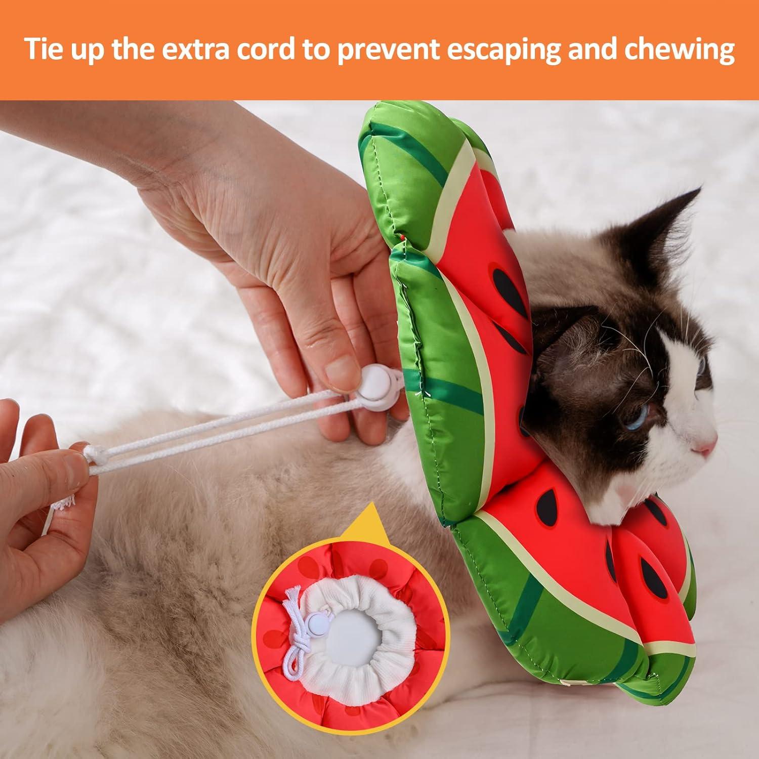 Avont Halskrause Katze Leckschutz Kragen Weich Wassermelone Small