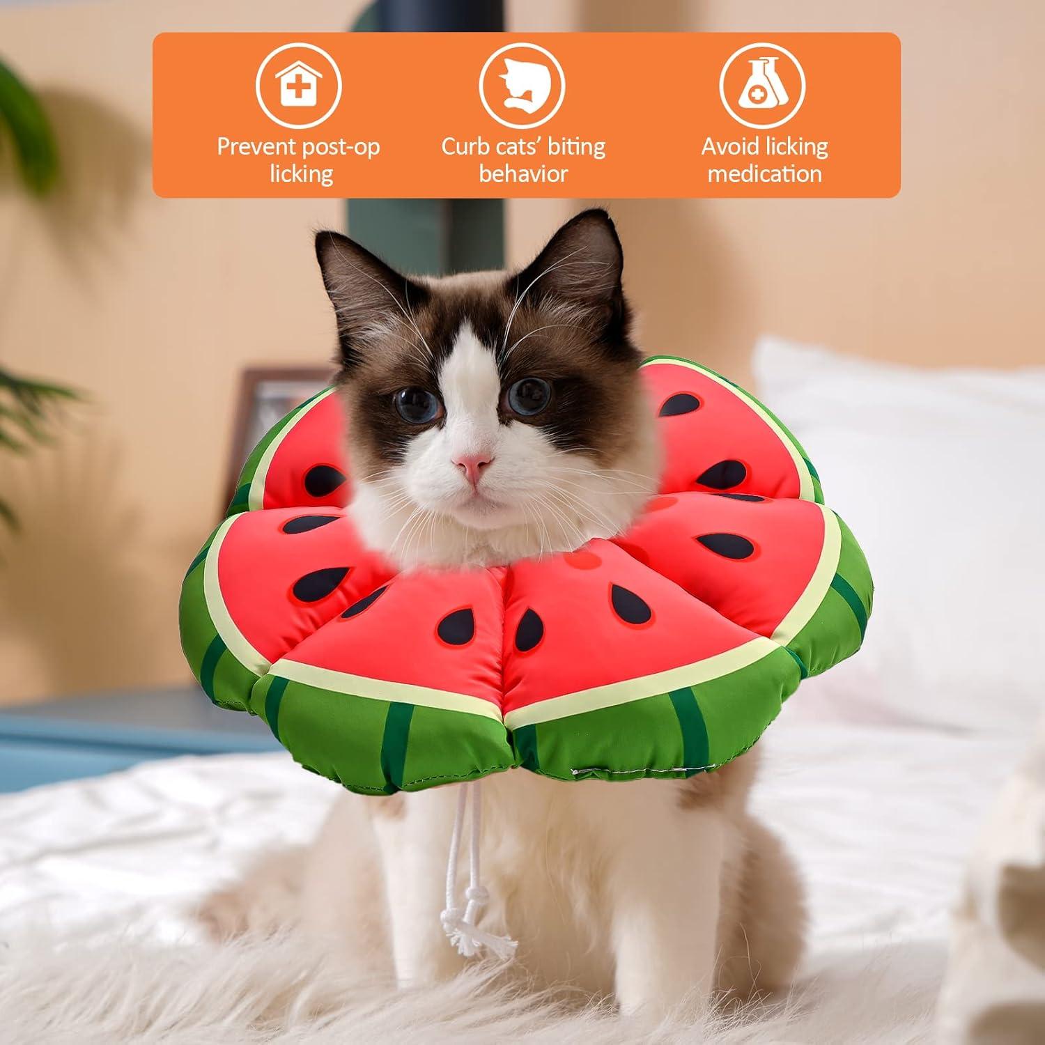 Halskrause Katze Verstellbarer Leckschutz Kragen