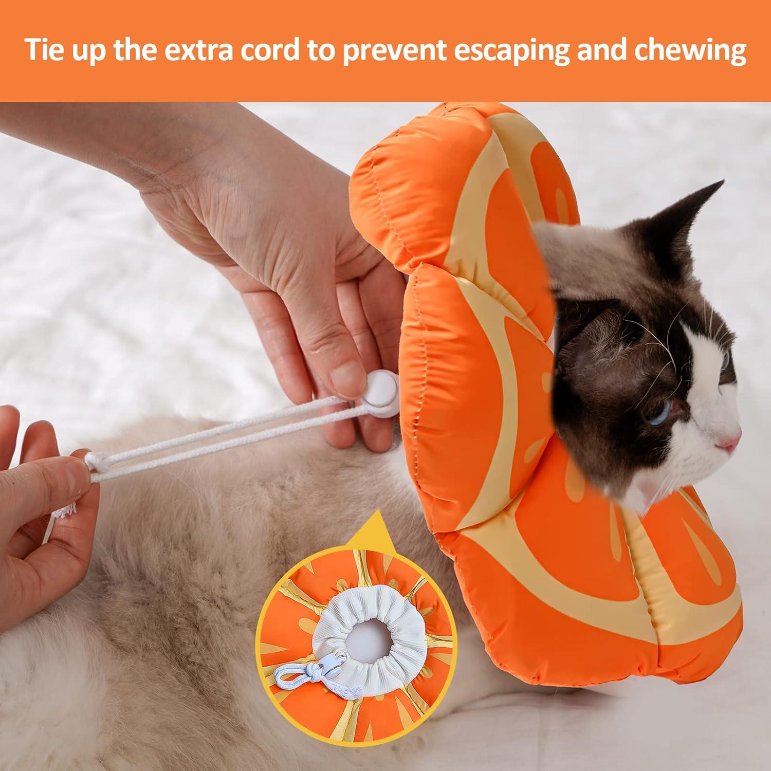 Avont Halskrause Katze, Leckschutz Kragen - S|M Mandarine Small