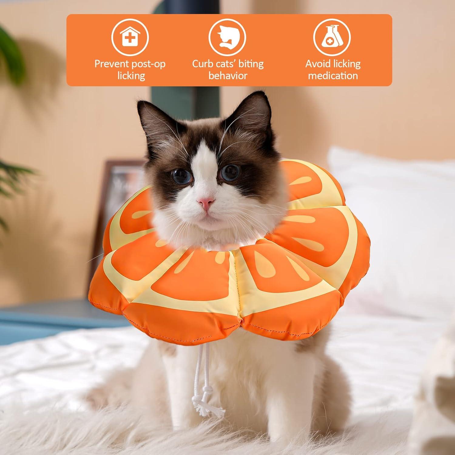 Avont Halskrause Katze, Weich Leckschutz Kragen