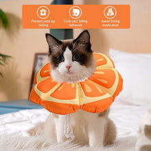 Avont Halskrause Katze, Weich Leckschutz Kragen