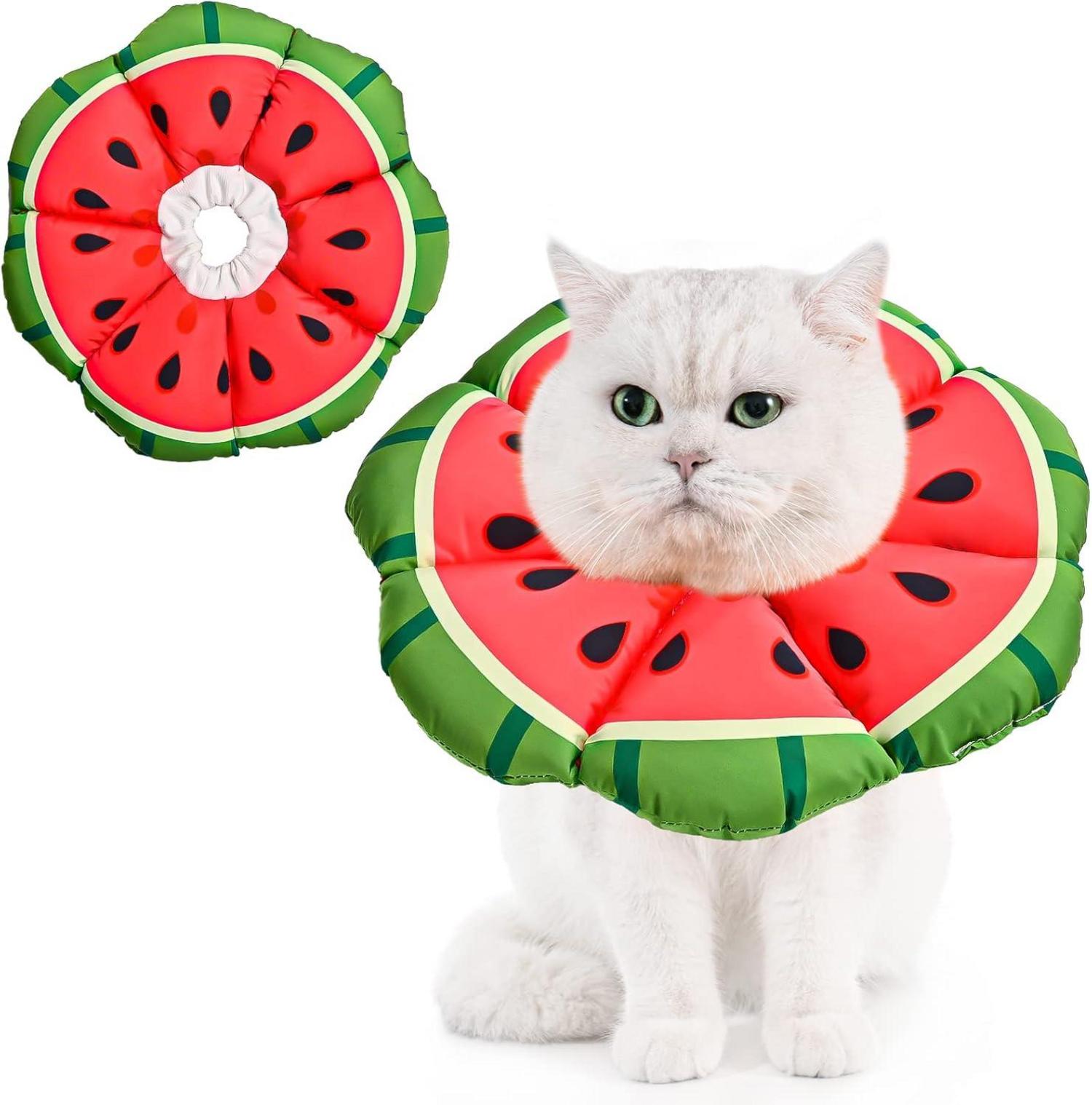 Halskrause Katze Einstellbar Halsband Leckschutz Kragen Klein