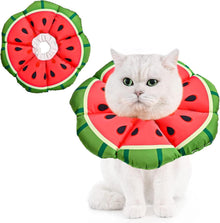 Halskrause Katze Einstellbar Halsband Leckschutz Kragen Klein