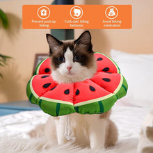 Halskrause Katze Verstellbarer Leckschutz Kragen