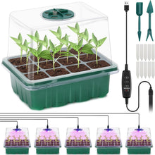 Mini Gewächshaus Anzuchtkasten Set mit LED Lichtern