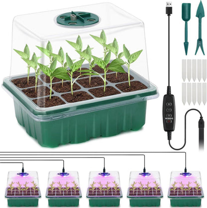 Mini Gewächshaus Anzuchtkasten Set mit LED Lichtern