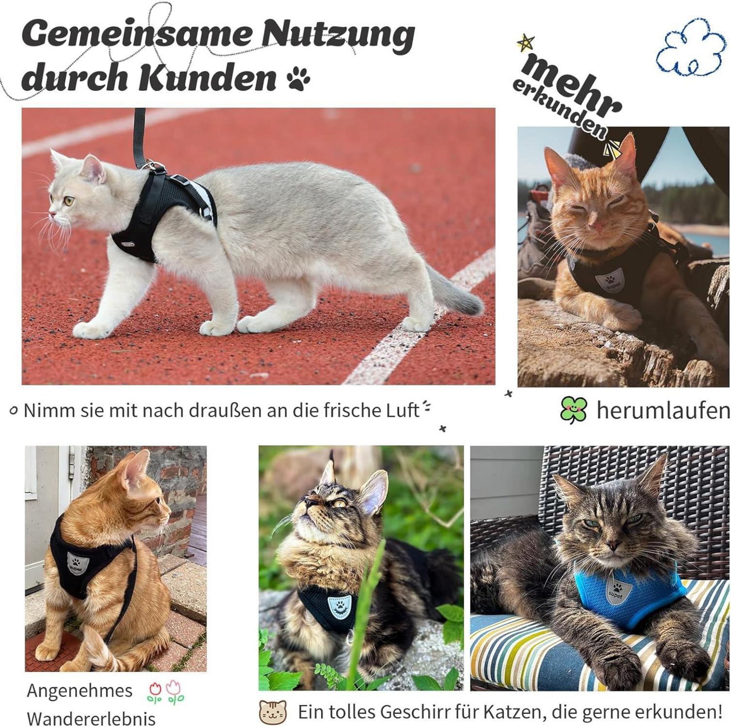Ausbruchsicheres Katzengeschirr mit Leine für Katzen S Schwarz Weich