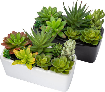 Kunstpflanze Sukkulente 2er Set Deko Zimmerpflanze im Keramiktopf