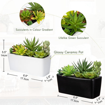 Kunstpflanze Sukkulente Set mit Keramiktopf - Wohnzimmer
