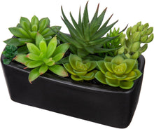 Dekorative Künstliche Sukkulente im Keramiktopf Schwarz