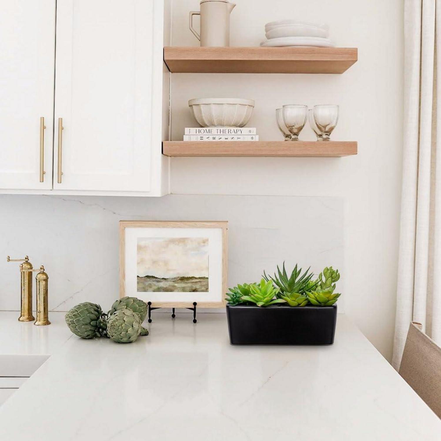 Künstliche Sukkulenten im Keramiktopf Schwarz für Wohnzimmer & Badezimmer