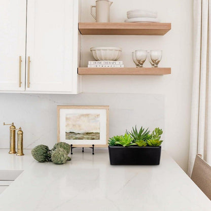 Künstliche Sukkulenten im Keramiktopf Schwarz für Wohnzimmer & Badezimmer