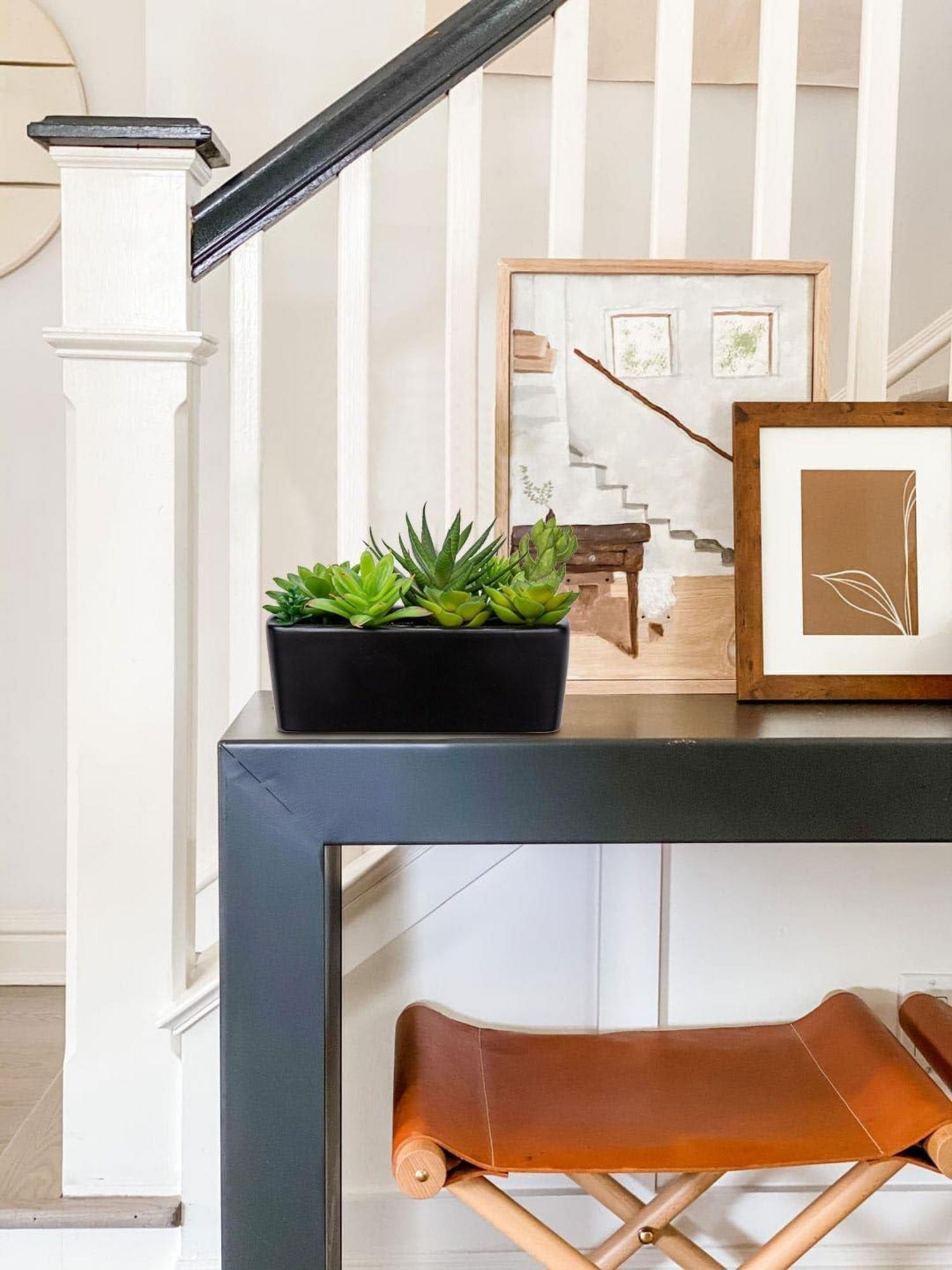 Künstliche Sukkulente Deko Pflanze Keramik 14cm Schwarz - Wohnzimmer Badezimmer