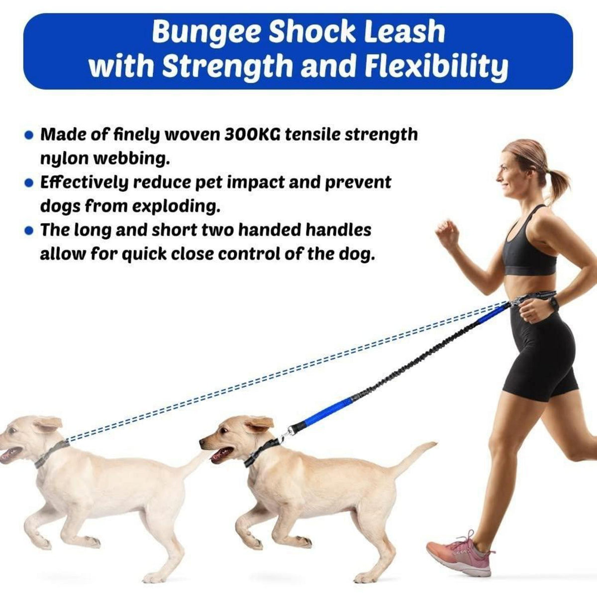 Bungeeleine für Hunde – Reflektierend & Stoßdämpfend 120-150cm