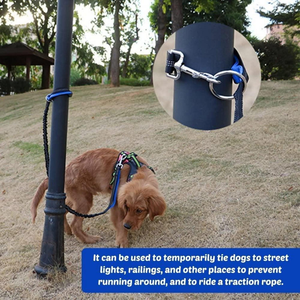 Bungeeleine für Hunde – Reflektierend & Stoßdämpfend 120-150cm
