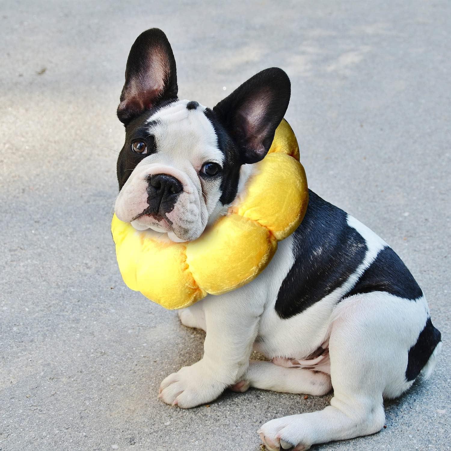 Verstellbare Sonnenblume Halskrause Katze Kleiner Hund OP Cone