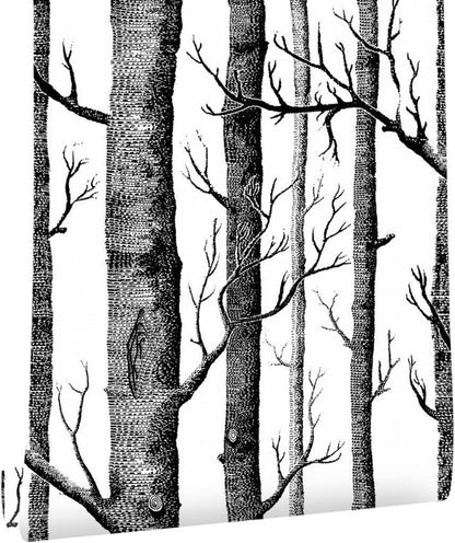 Selbstklebende Dekorfolie PVC Vinyl Weißer Birkenbaum 44x300cm