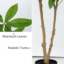 Kunstpflanze Glückskastanie 120cm Topf Deko Büro Wohnzimmer