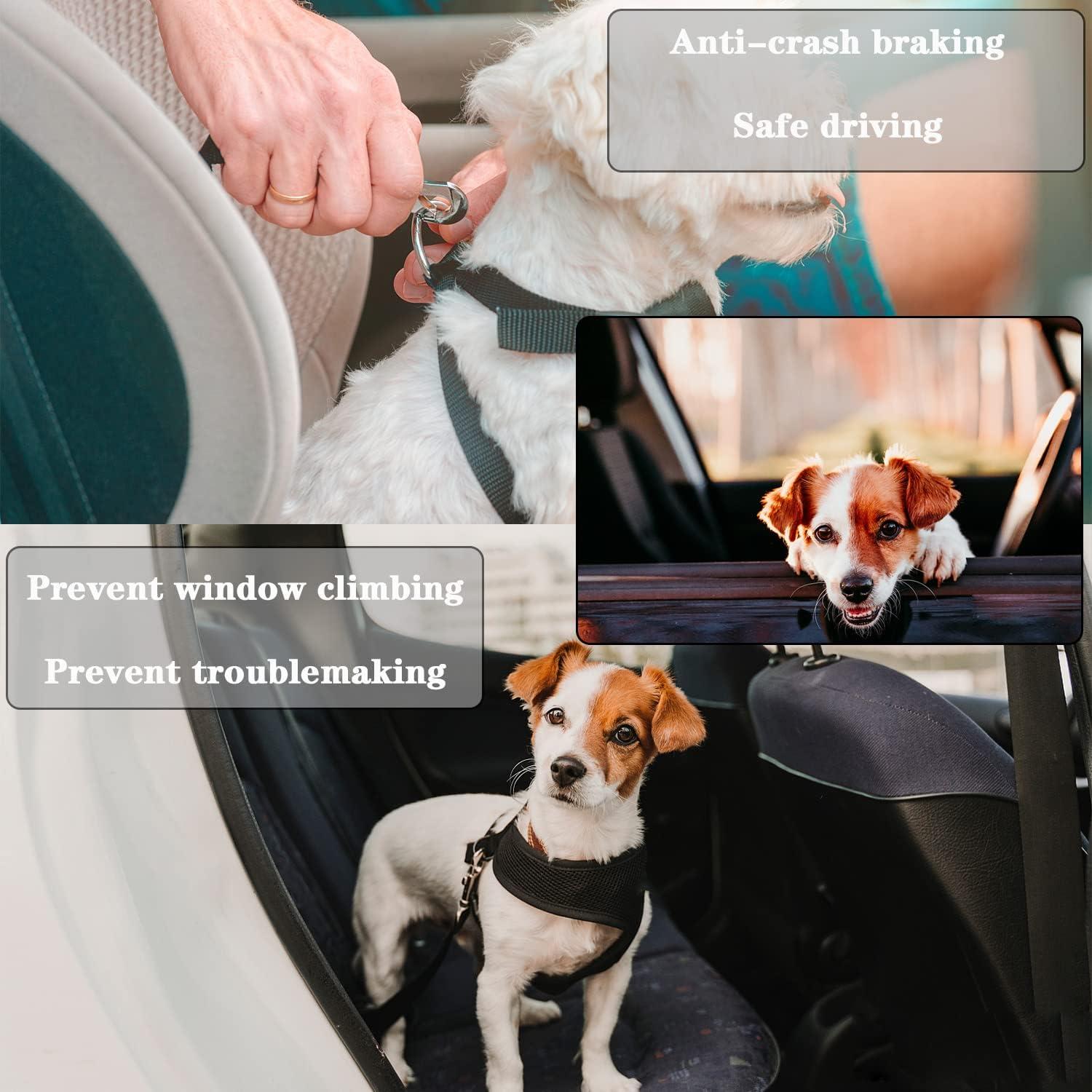 2x Hunde Sicherheitsgurt Auto Verstellbarer Anschnallgurt mit
