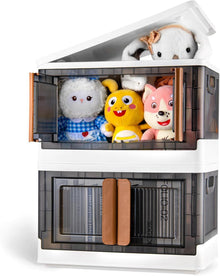 Aufbewahrungsbox mit Deckel 49x31x30cm 2er Set - Transparent