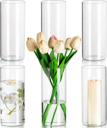Zylinder Vasen Set Glas 20x8,5cm 6 Stück Blumenvase Modern Deko