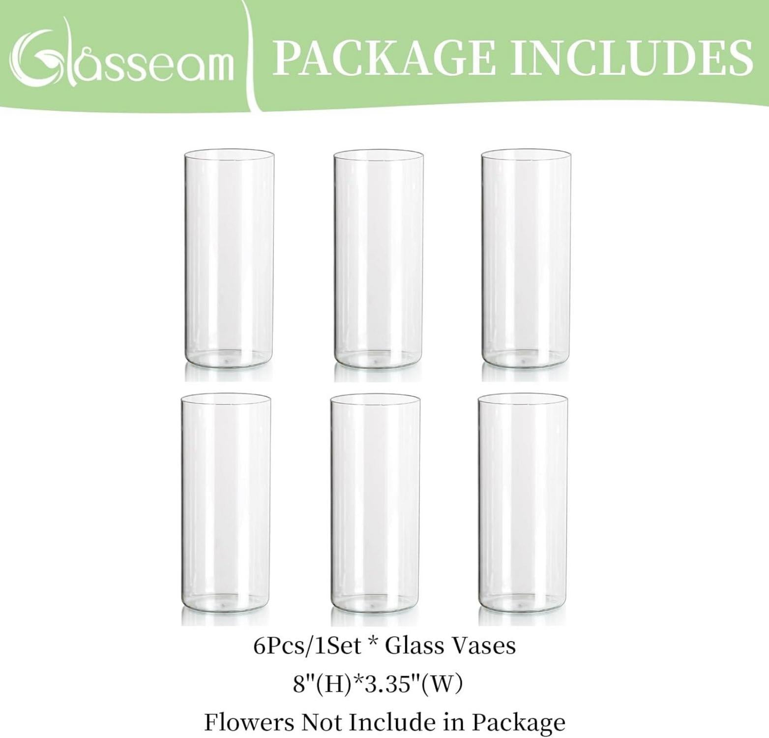 Zylinder Glasvasen Set 6 Stück Modern Deko Blumenvasen 20 x 8,5 cm