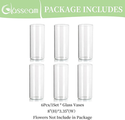Zylinder Glasvasen Set 6 Stück Modern Deko Blumenvasen 20 x 8,5 cm