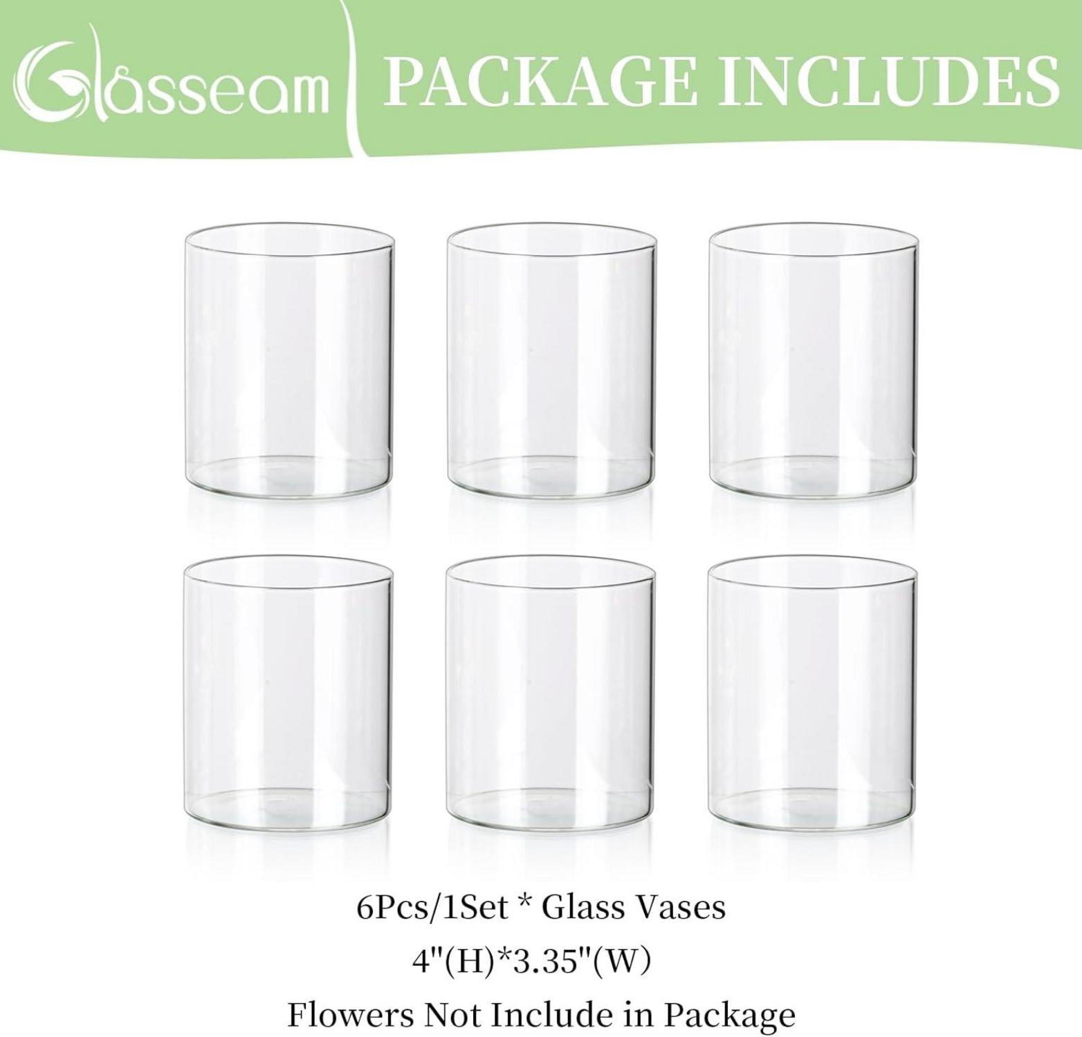 Kleine Glaszylinder Vasen 6er Set 10 x 8,5cm Klar für Tischdeko