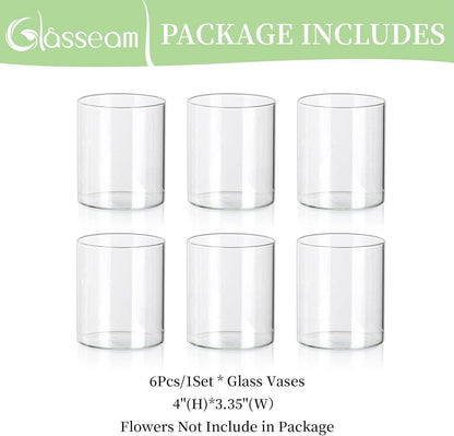 Kleine Glaszylinder Vasen 6er Set 10 x 8,5cm Klar für Tischdeko