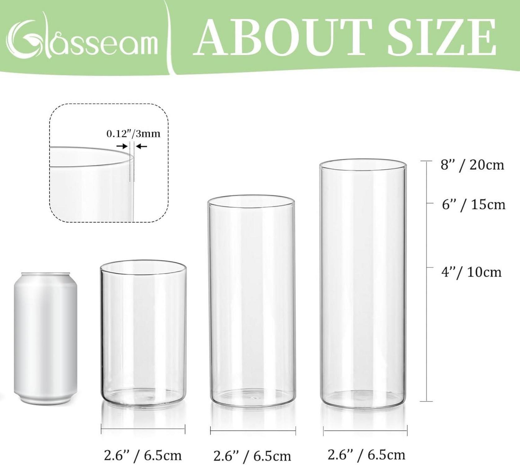 6er Set Glasseam Deko Vasen 10/15/20cm Hoch Zylinderglasvase Transparent