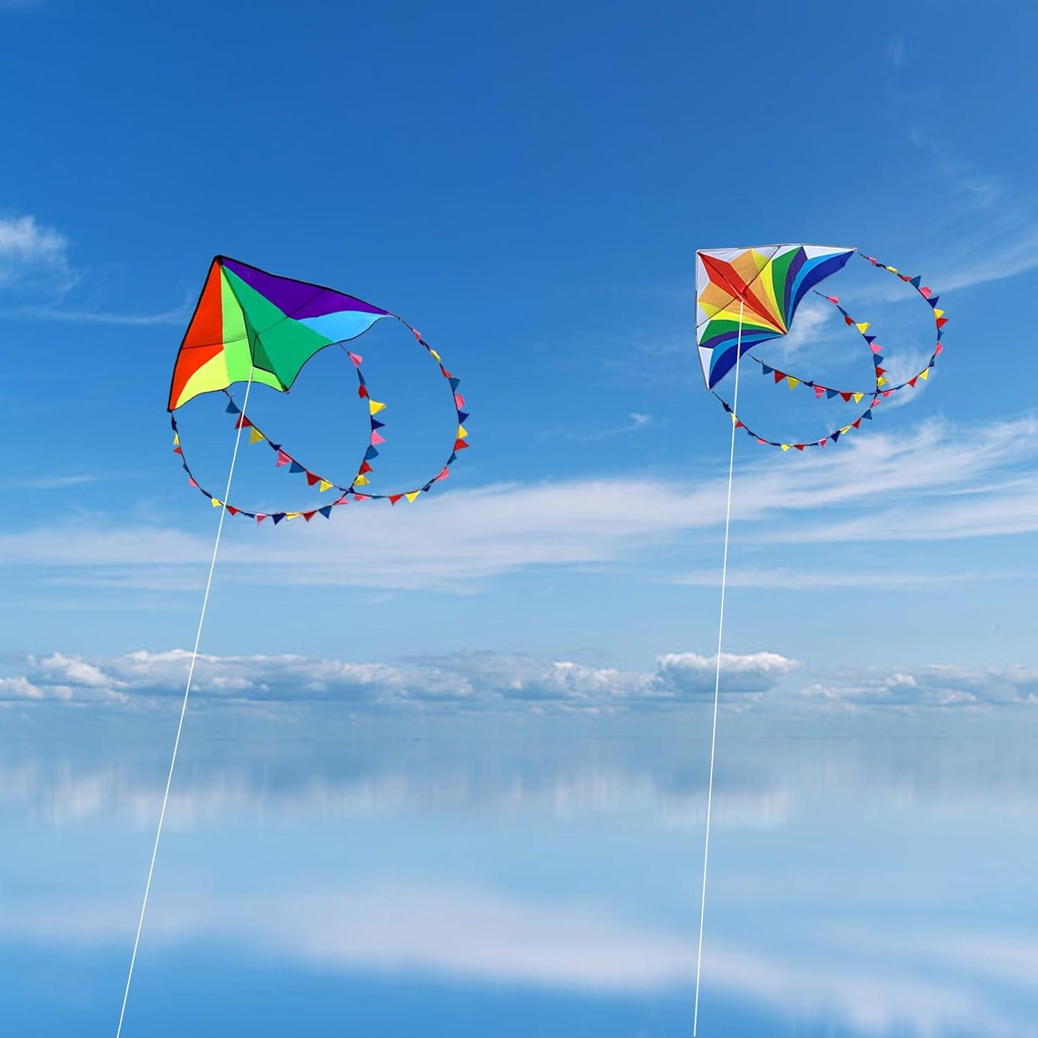 Flying Hoofer 2er Pack Regenbogen Delta Drachen für Kinder und