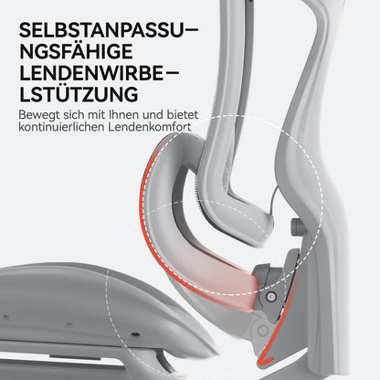 SIHOO Doro C300 Ergonomischer Bürostuhl mit 3D-Armlehnen, Lordosenstütze, verstellbarer Rückenlehne